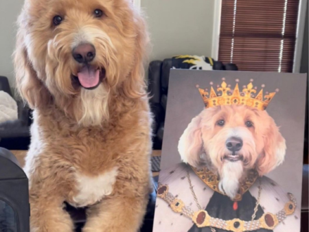 Crowned King Custom Pet Portrait Fashion